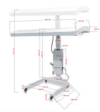 Load image into Gallery viewer, Rouge Curve - Red Light Therapy Panel on Motorized Stand