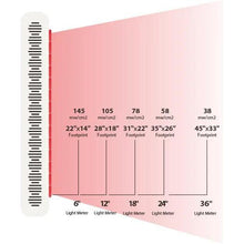 Load image into Gallery viewer, Rouge Essential - Red Light Therapy For Larger Areas
